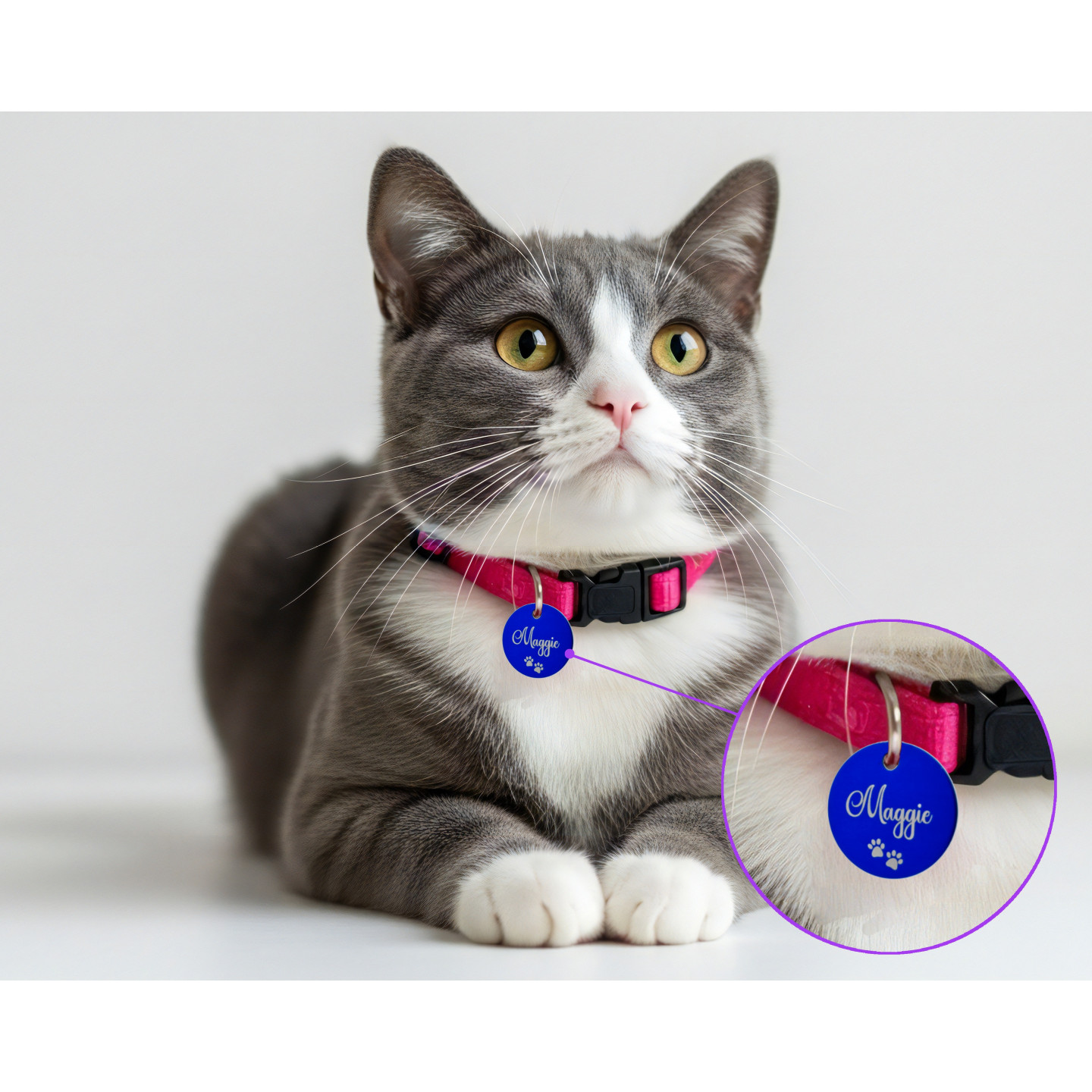 Personalized Laser-Engraved Pet ID Tag for Dogs & Cats